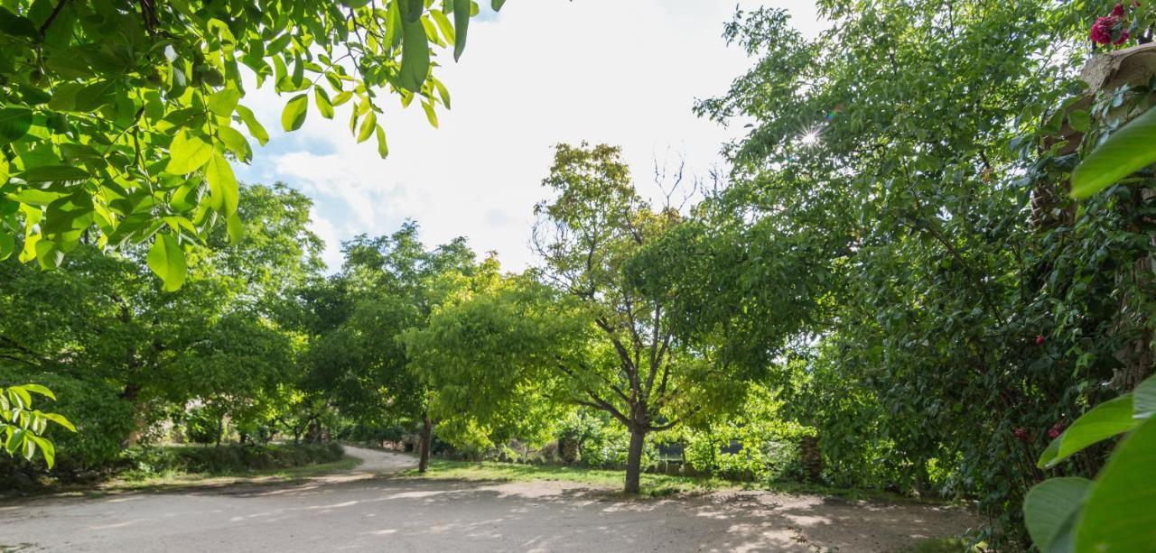 Casas Rurales Los Enebros 네르피오 외부 사진
