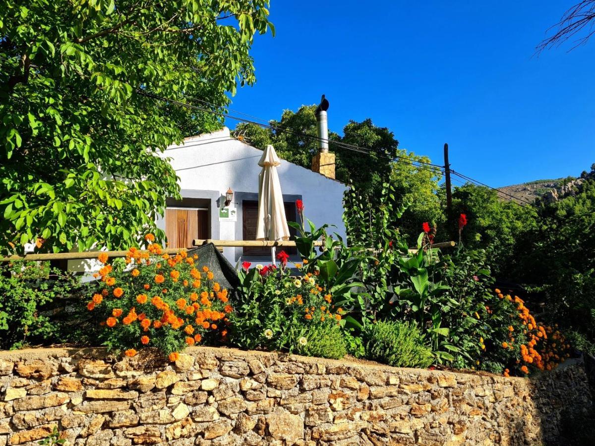 Casas Rurales Los Enebros 네르피오 외부 사진