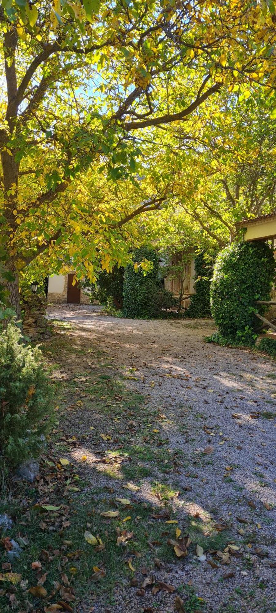 Casas Rurales Los Enebros 네르피오 외부 사진