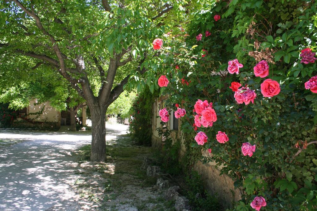 Casas Rurales Los Enebros 네르피오 외부 사진