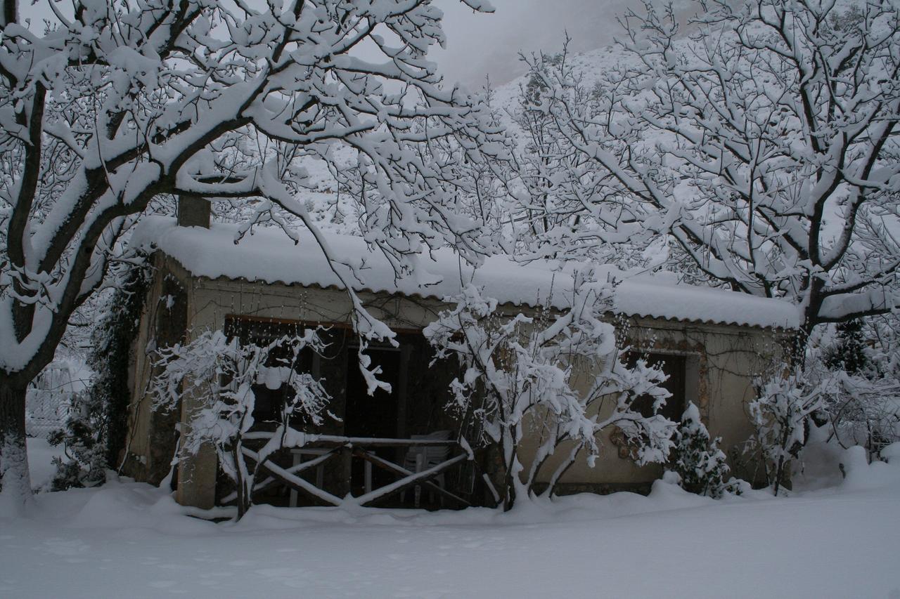 Casas Rurales Los Enebros 네르피오 외부 사진
